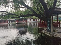 -百脉泉景区