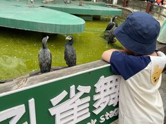 -灵玲国际马戏城