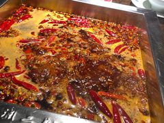 -二荆条·蜀鲜汇城市森林火锅