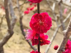 -锦尚阁烤鱼•天津菜(宣武门胡同店)
