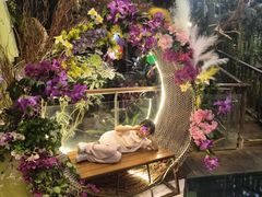-正佳雨林生态植物园