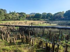 -河姆渡遗址博物馆