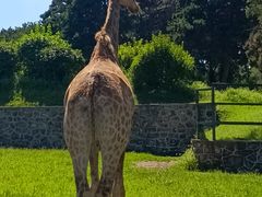 -沈阳森林动物园