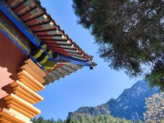 -青龙山生态文化旅游区