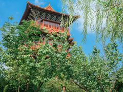 -清明上河园-迎宾门售票处