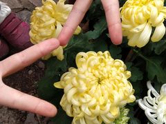 -汇龙潭