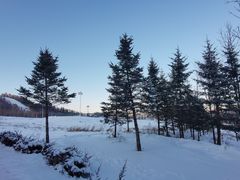 -长白山万达国际滑雪场