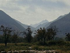 -秦岭风景区