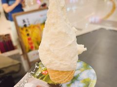 -野人先生Gelato(上海长宁龙之梦店)