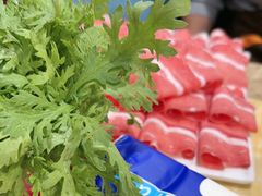 -清真军邺·金富苑肥牛(石坡街旗舰店)