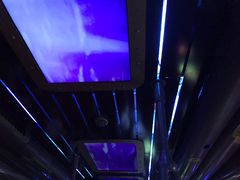 -海洋公园海洋列车－海滨站