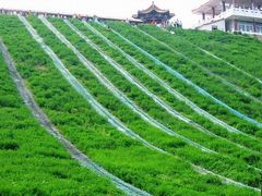 -南戴河国际娱乐中心