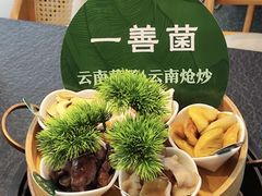 -一善菌·云南菌汤·云南菜(银泰城店)