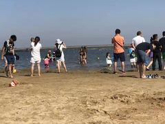 -碧海金沙