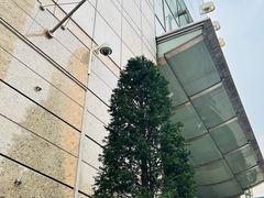 -乐天免税店(明洞店)