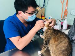 -哆趣宠物医院·眼科·内镜·急重症转诊中心(上海店)