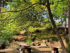 -新洲生态园