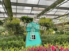 -南宫五洲植物乐园