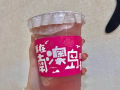 -南澳岛打卡果汁冰公司