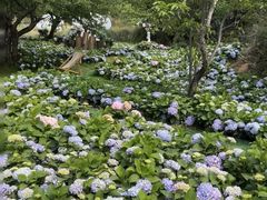 -名花谷生态庄园