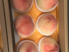 -老袁家蜜桃农场·阳山水蜜桃