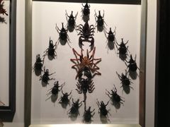 iphone_upload_pic-西安世博园