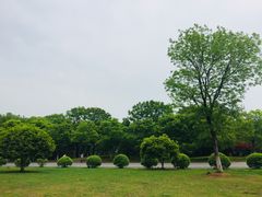 -南京市江宁方山