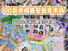 -西北轻工批发市场