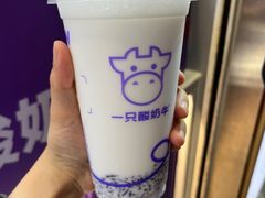 -一只酸奶牛(八一路店)