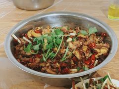 -食神又名厕所兔
