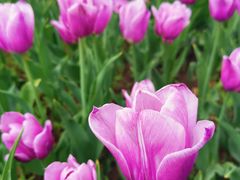 -长春公园(普阳街道)