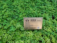 -广州神农草堂中医药博物馆