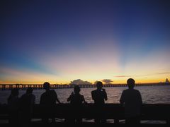 -宝安西湾红树林湿地公园