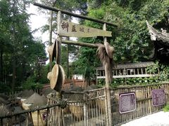 -王家渡火锅(三苏祠店)
