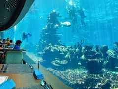 -海棠湾洲际-涛·海底餐厅·美人鱼·自助餐·海底隧道