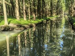 -溱湖国家湿地公园