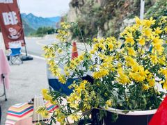 -妙峰山风景名胜区