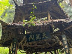 -青城山