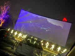 -枫花园汽车电影院(朝阳公园店)