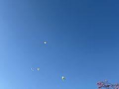 -风云岭森林公园