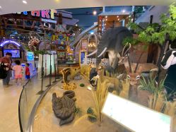 -卡通尼·Safari非洲探索乐园·生日会(金桥国际商业广场店)