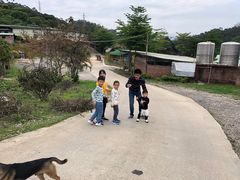 -全汁全味驴庄(凤岗店)
