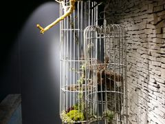 -春水堂人文茶馆