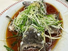 -凤城礼记鱼翅海鲜酒家(新马路总店)
