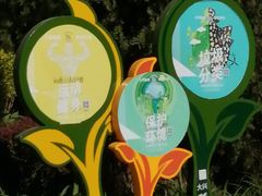 -大兴滨河森林公园