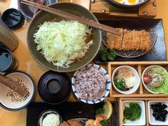 高丽菜丝-胜博殿日式炸猪排(西红门店)