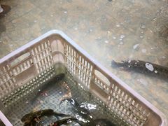 -万里闯关东铁锅炖菜馆(高新旗舰店)