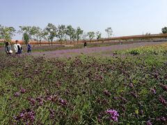 -江苏三台山国家森林公园