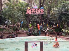 -广州长隆飞鸟乐园