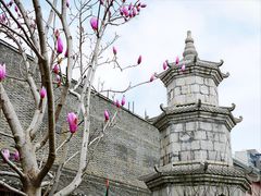 -长春观